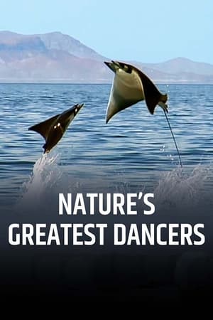 Image Nejskvělejší tanečníci přírody