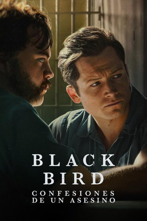 Black Bird 115