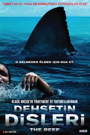 Görsel #246392