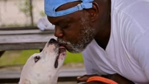 Pit Bulls and Parolees Life in a Cage