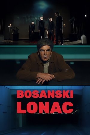 Bosanski lonac
