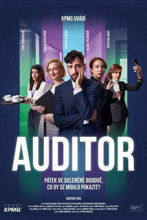 Auditor