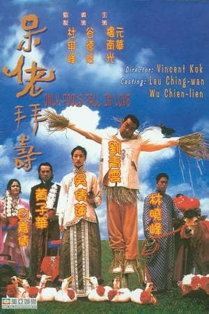 Poster 呆佬拜寿 1995