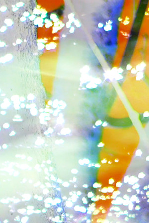 Charlotte, Beverly, Georg. (2026)