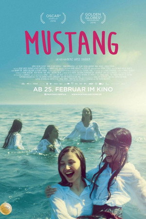 Mustang 55