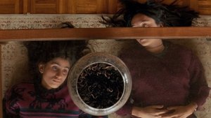 September Says (2025)