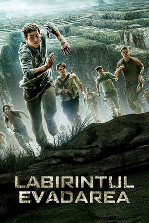 poster The Maze Runner