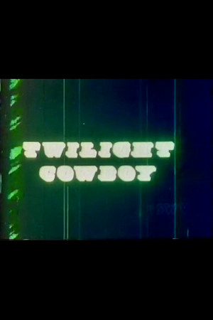 Twilight Cowboy