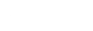 Synduality Noir — Logos 7