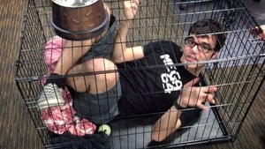 Ray in a Cage