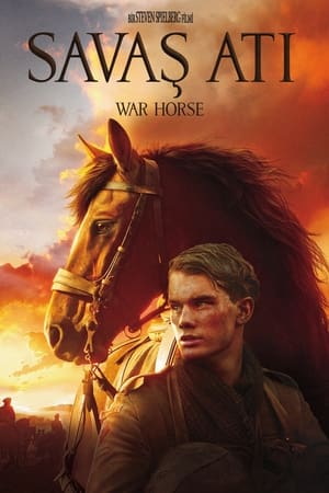Savaş Atı (2011)