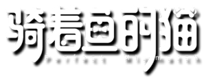 Perfect Mismatch — Logos 2