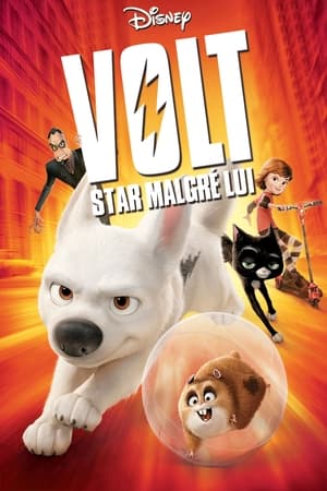 Poster Volt, star malgré lui 2008