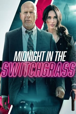 Poster Nửa Đêm Ở Switchgrass 2021