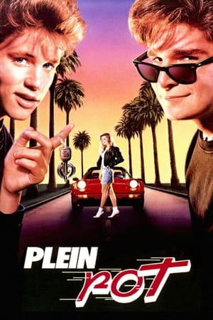 Poster Plein pot 1988