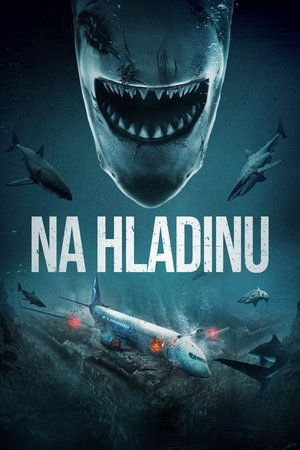 Image Na hladinu