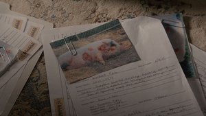 Grimm: Contos de Terror: 2×4