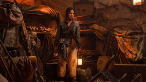 The Bluff (2026) Hindi Dubbed AMZN