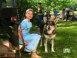 The Littlest Hobo Silent Witness