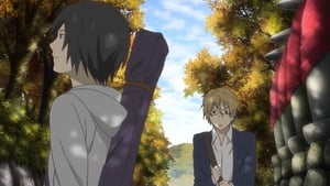 Natsume’s Book of Friends: 5×8