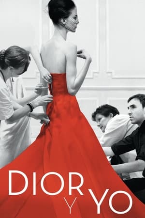 Poster Dior y yo 2015