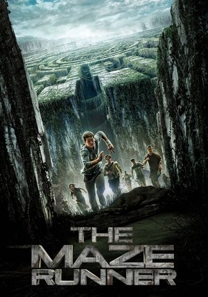 poster The Maze Runner