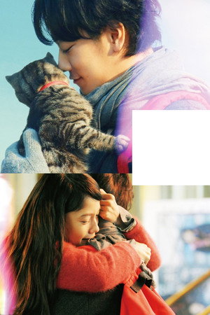If Cats Disappeared from the World