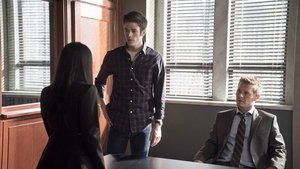 The Flash Season 1 Episode 19 : Who Is Harrison Wells?