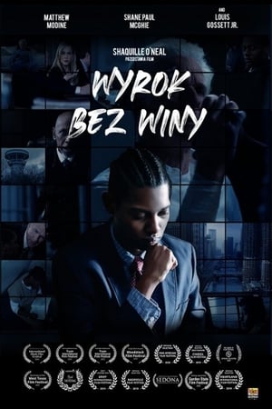 Poster Wyrok bez winy 2019
