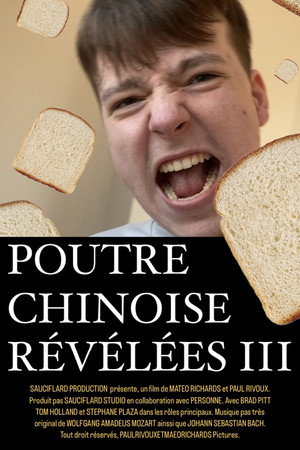 Poutre Chinoise Révélée 3