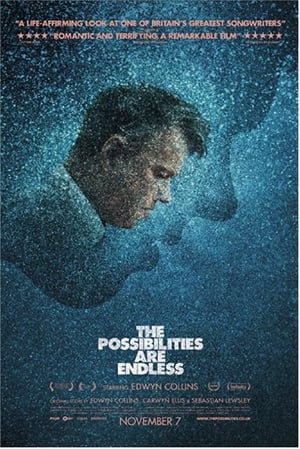 Poster The Possibilities Are Endless (2014)