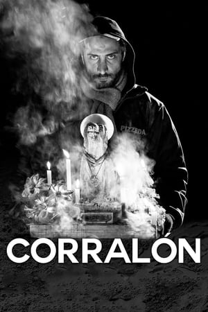 Poster Corralón 2017