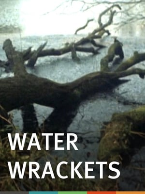 Poster Water Wrackets (1975)