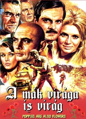 Poster A mák virága is virág 1966