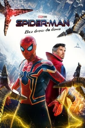 Poster Spider-Man: Bez Drogi do Domu 2021