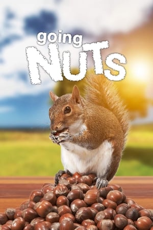 Poster Going Nuts: Tales from the Squirrel World (2019)