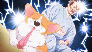 The Corgi and the Samurai: 1×3