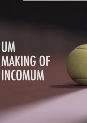 Poster Um Making of Incomum 2018