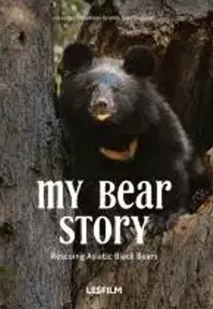 My Bear Story