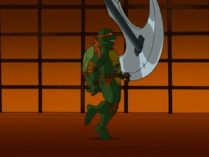 Teenage Mutant Ninja Turtles: 1×22