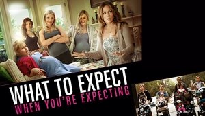 What to Expect When You’re Expecting(2012)