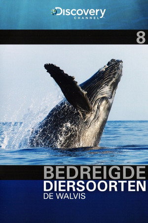 Bedreigde Diersoorten 08: De Walvis