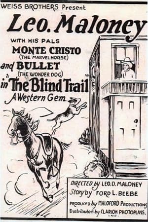 Poster The Blind Trail 1926