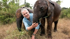 Gordon Buchanan: Elephant Family & Me film complet