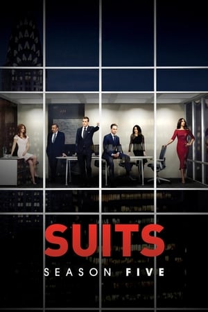 Suits: Staffel 5