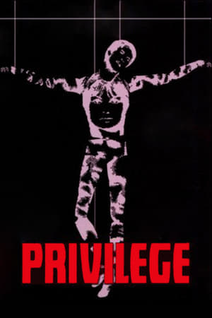 Image Privilege – idol och rebell