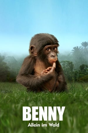 Poster Benny: Allein im Wald 2011