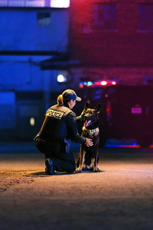 Unité canine Poster