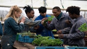 La Brigada de la Cocina (La brigade)