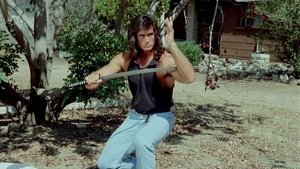 Samurai Cop (1991)